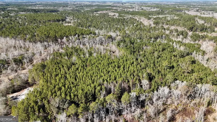 4501 Deloach Church Road, Claxton, GA 30417 - #2