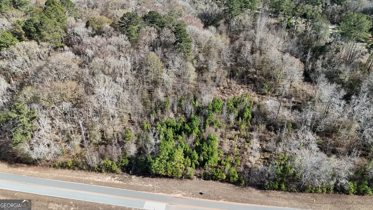 60 Anderson Road, Claxton, GA 30417 - #1