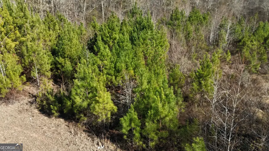 60 Anderson Road, Claxton, GA 30417 - #3