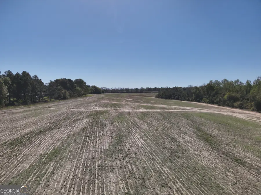 0 Old Pelham Road, Pelham, GA 31779 - Image #3