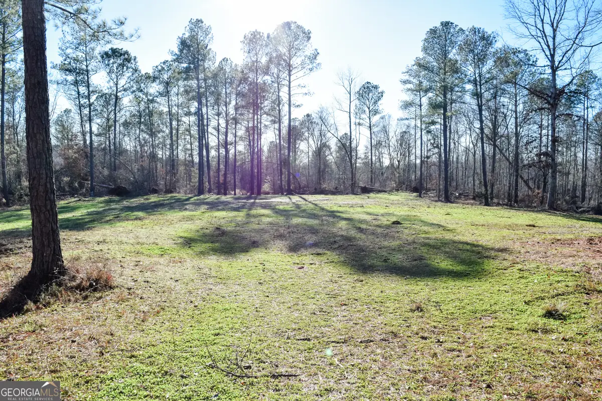 4427 County Line Road #206.61 ACRES, Mansfield, GA 30055 - #1