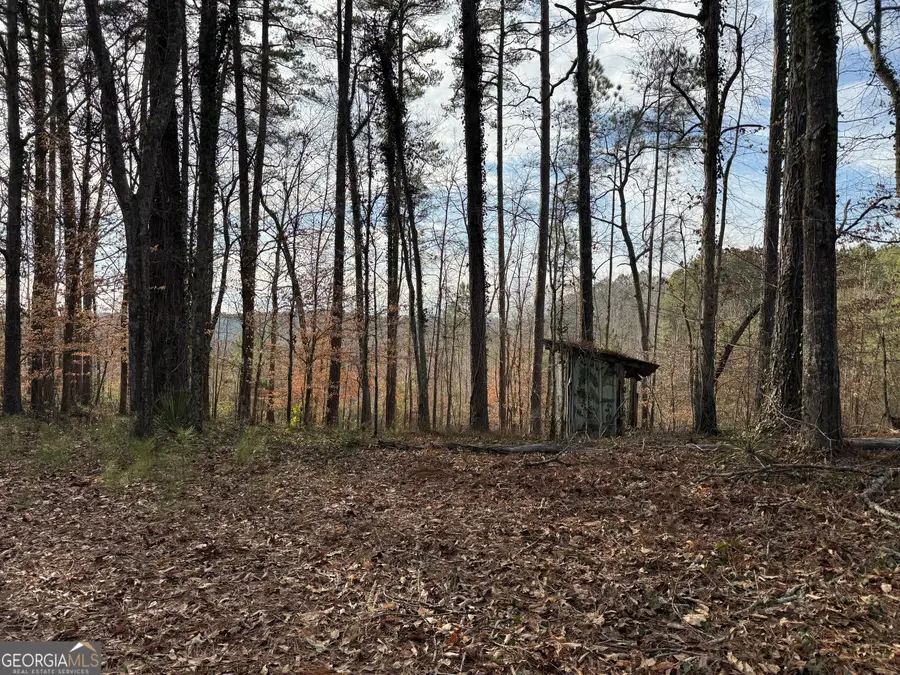 0 Old Georgia Road, Heflin, AL 36264 - Image #2