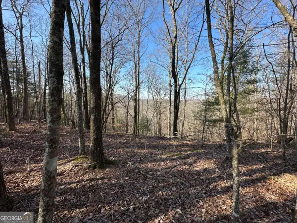 LOT 1640 Hunter Drive #1640, Talking Rock, GA 30175