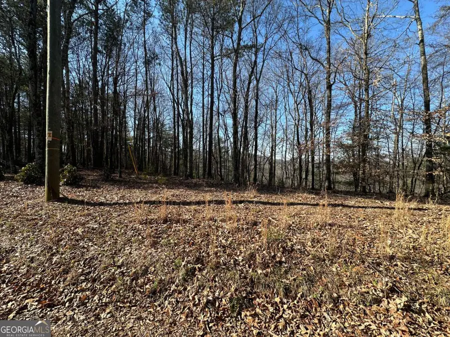 LOT 1640 Hunter Drive #1640, Talking Rock, GA 30175 - #2