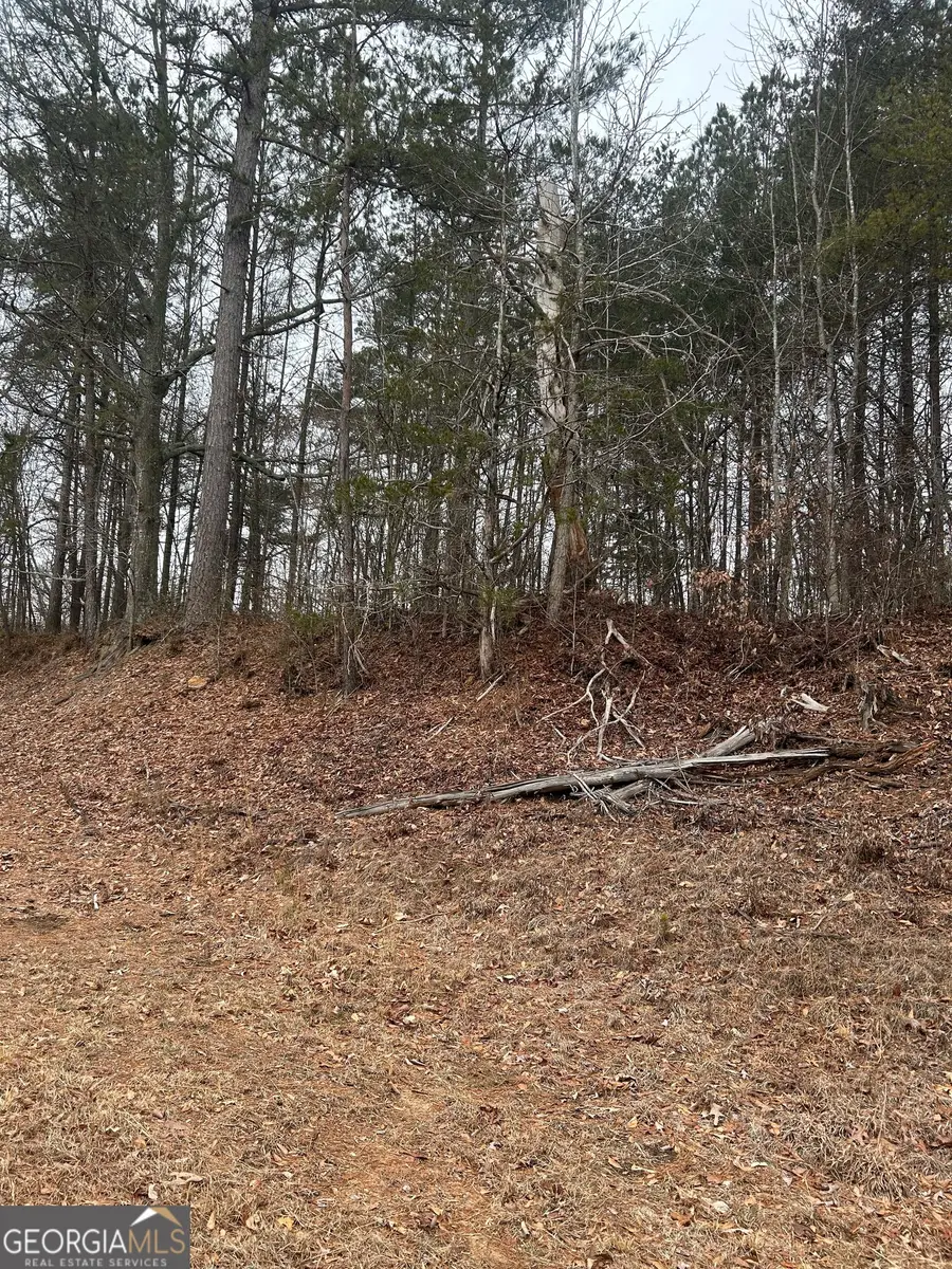 TRACT 3 E Silver Shoals Road, Toccoa, GA 30577 - #3