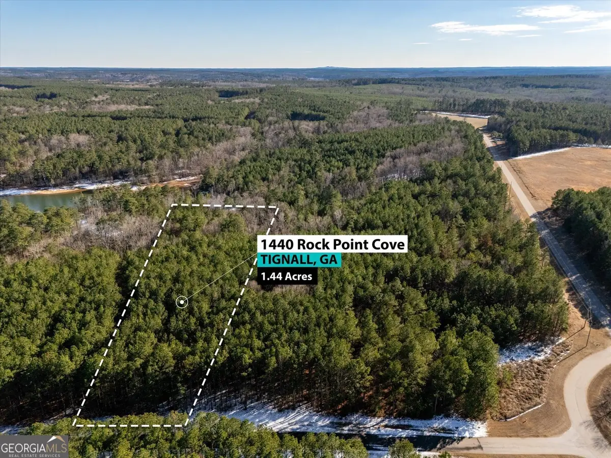 1440 Rock Point Cove, Tignall, GA 30668 - #1