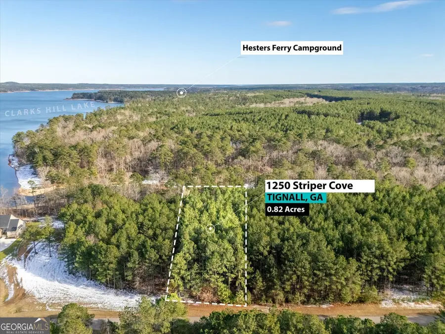 1250 Striper Cove, Tignall, GA 30668 - #2