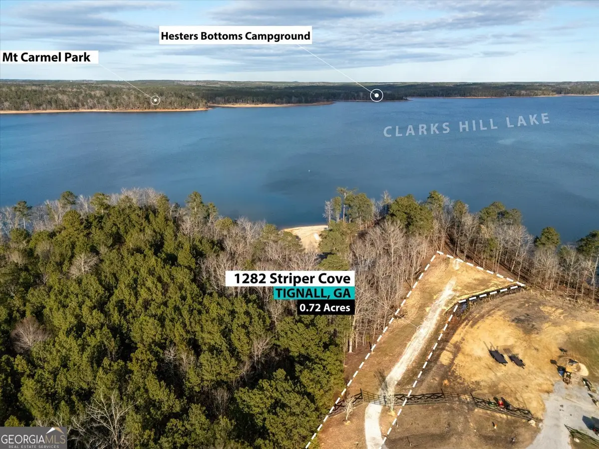 1282 Striper Cove, Tignall, GA 30668 - #1
