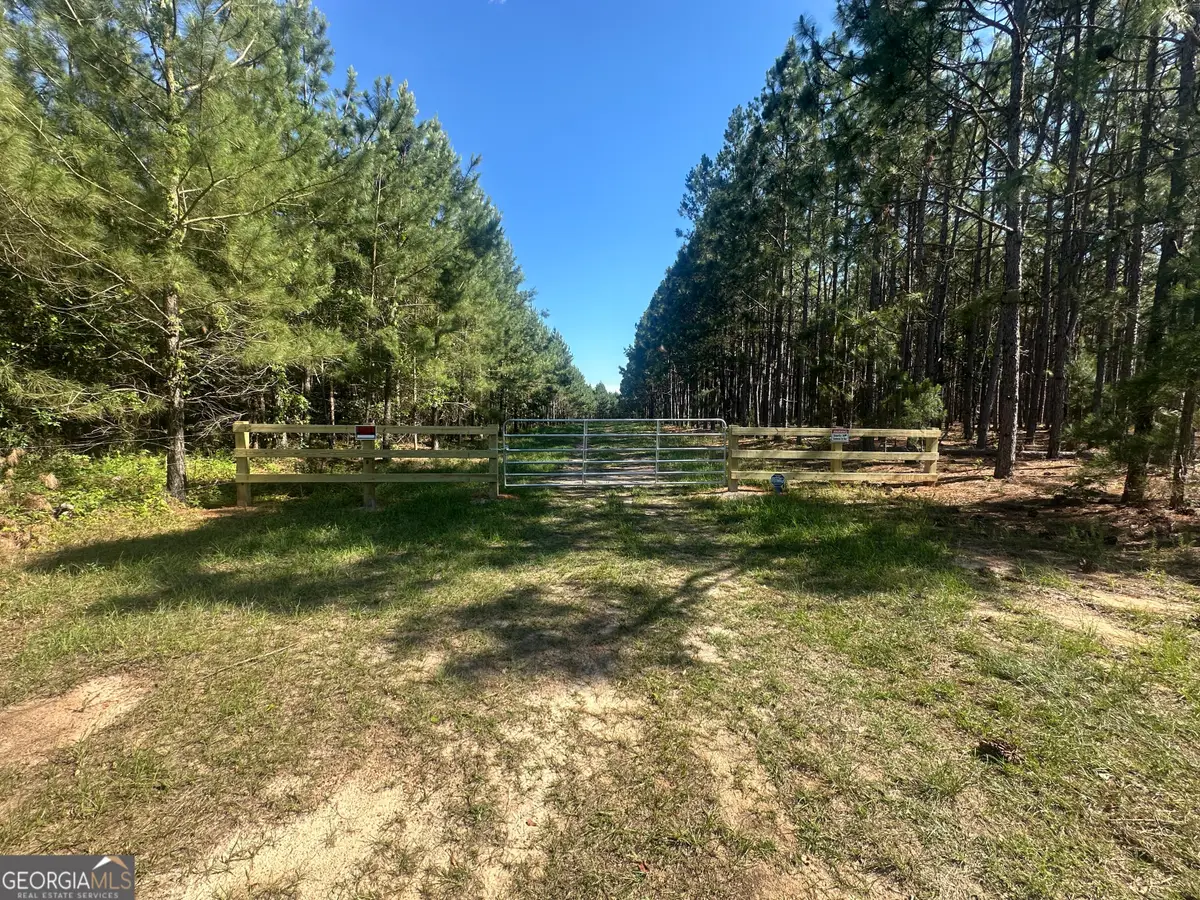 355 Dorsey Clark Road, Sylvania, GA 30467 - #1