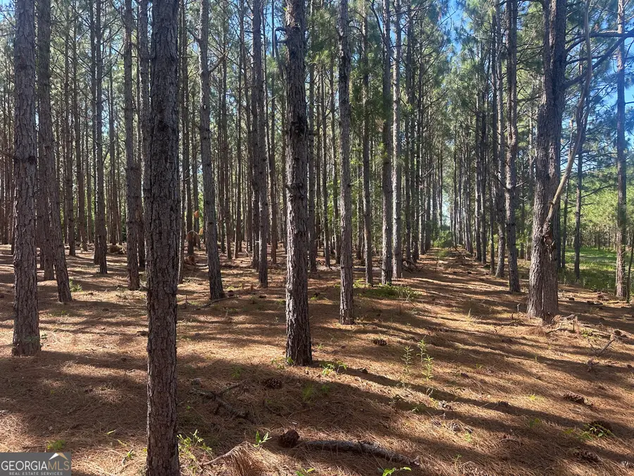 355 Dorsey Clark Road, Sylvania, GA 30467 - #2