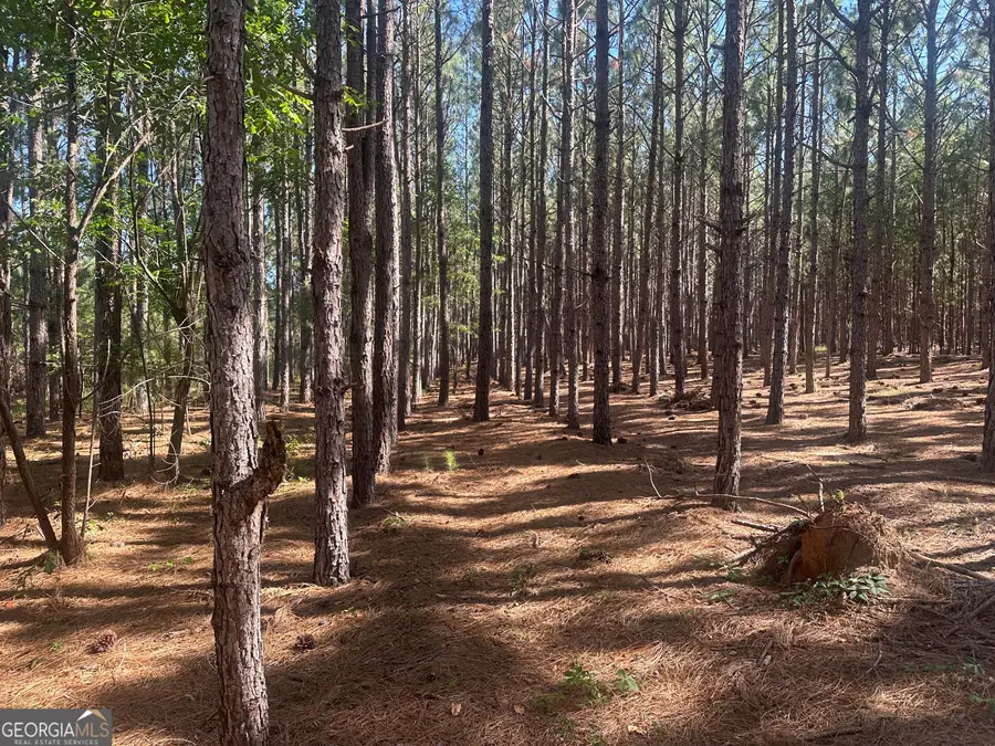 355 Dorsey Clark Road, Sylvania, GA 30467 - #3