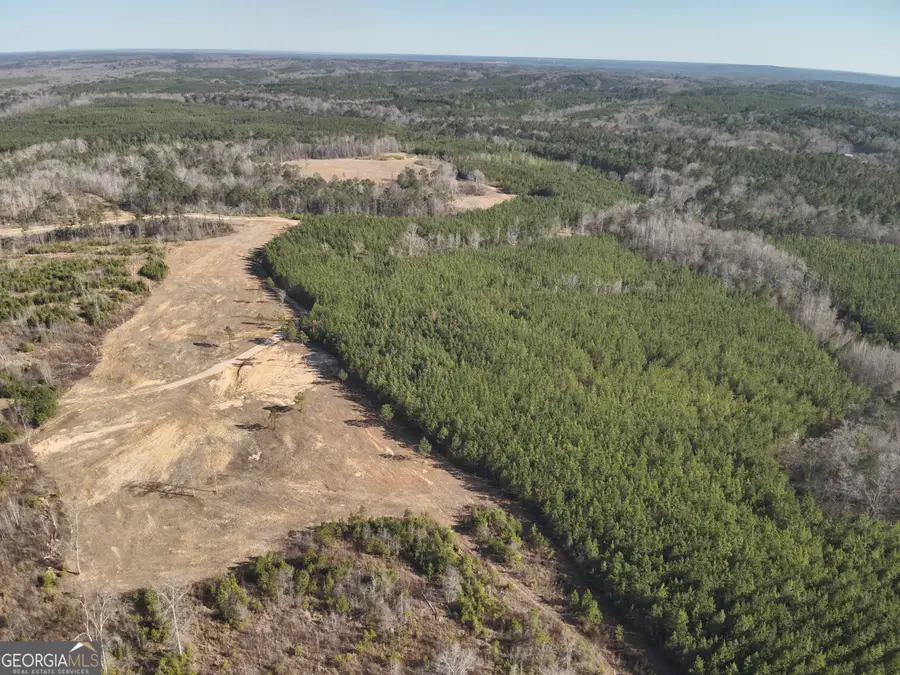 142 Wilson, Carsonville, GA 31006 - #3