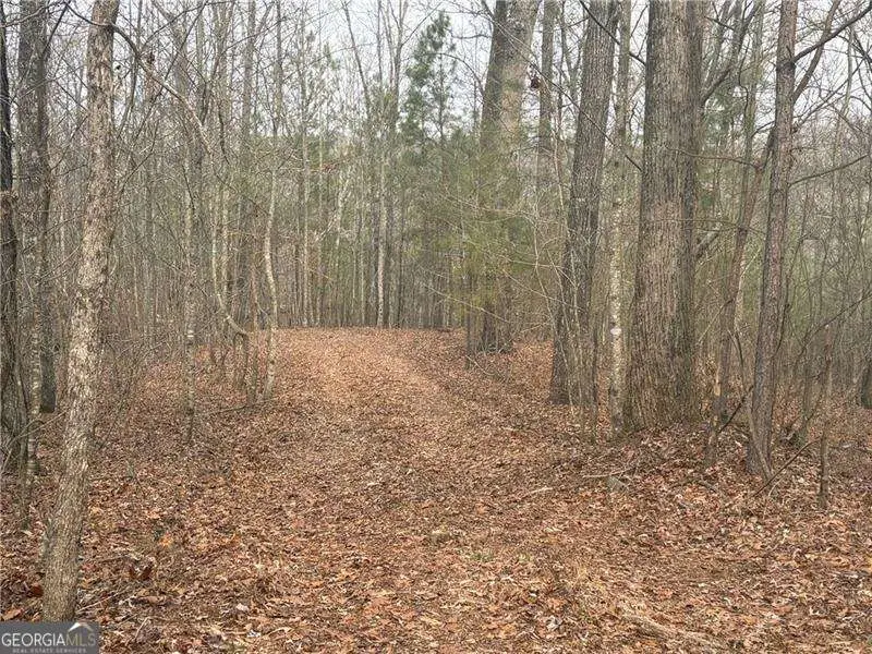 01 Swan Bridge Road, Talking Rock, GA 30175 - #1