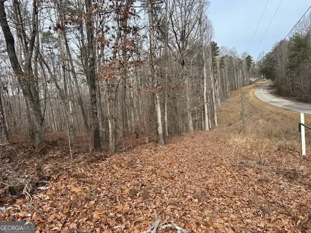 0 Holly Springs Road #TRACT 1, Toccoa, GA 30577 - #2