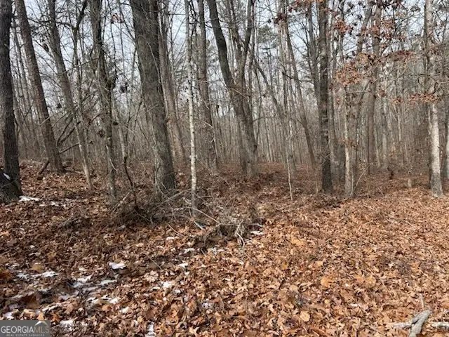 0 Holly Springs Road #TRACT 1, Toccoa, GA 30577 - #3