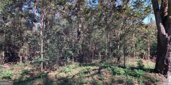 156 Darling Street, Savannah, GA 31408