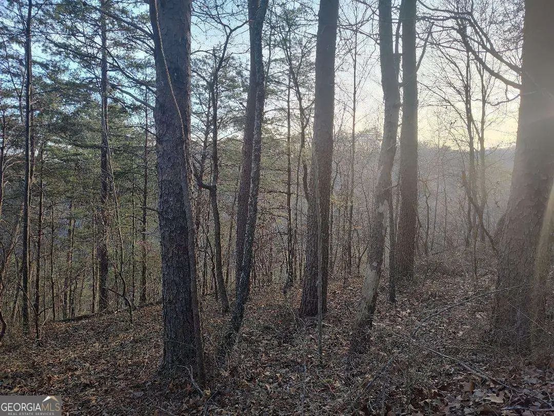 1058 Mayfield Lane, Ranger, GA 30734 - #1