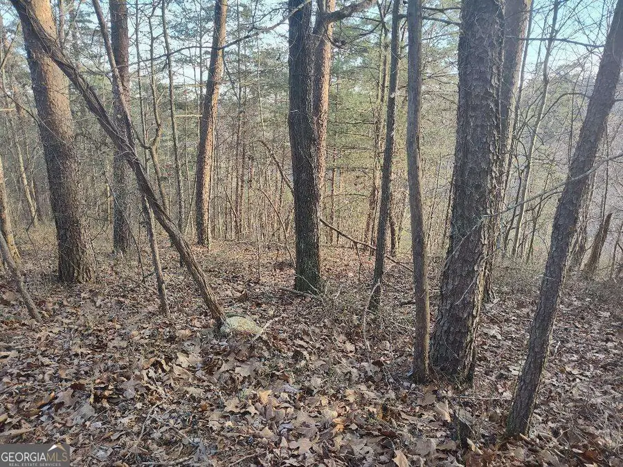 1058 Mayfield Lane, Ranger, GA 30734 - #2