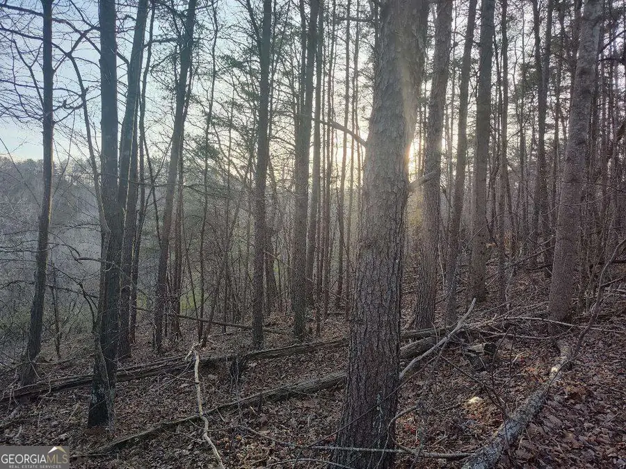 1058 Mayfield Lane, Ranger, GA 30734 - #3