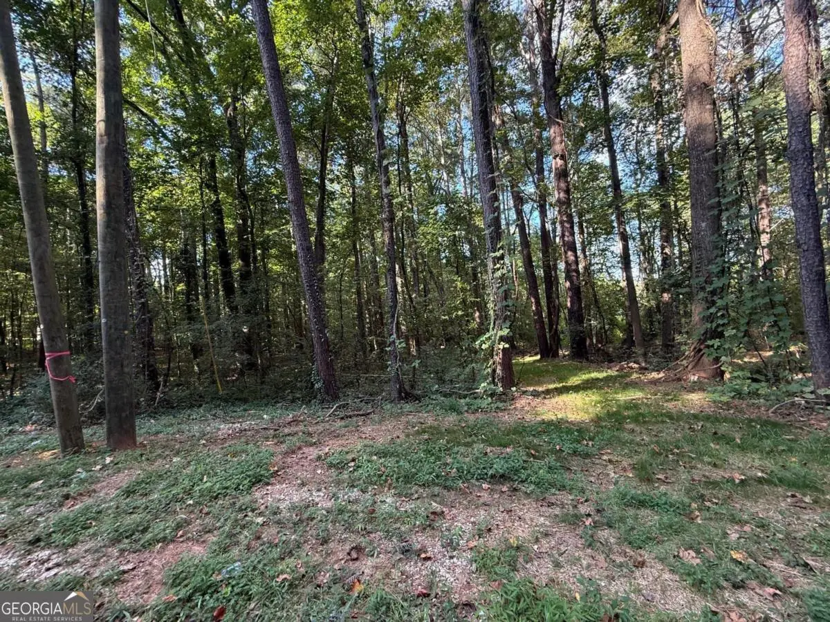 5160 Selene Drive, Stone Mountain, GA 30088 - #1