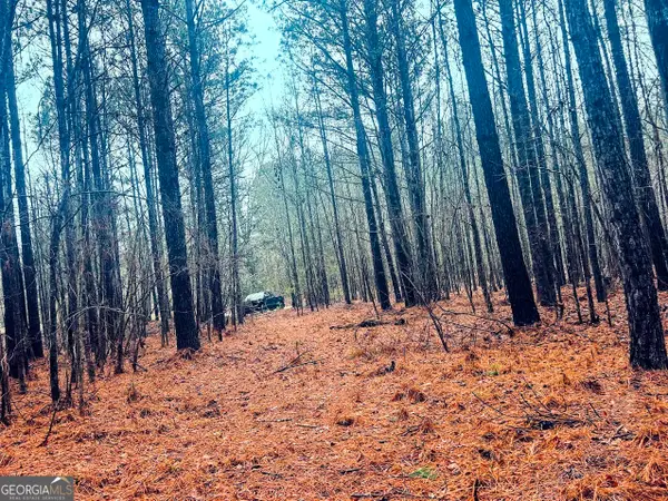 0 St. Marys Road Sw #TRACT 1A, Crawfordville, GA 30631