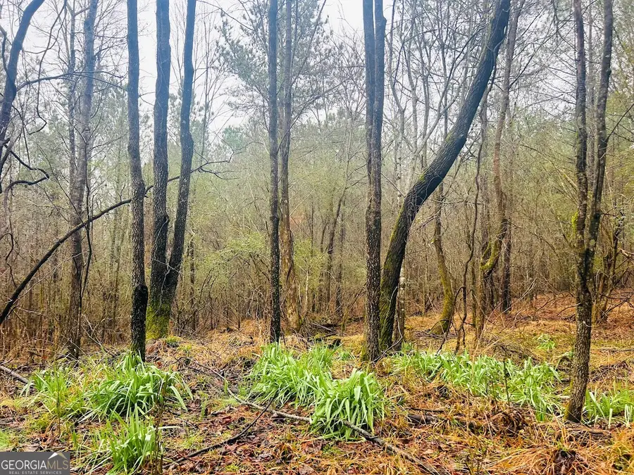 0 St. Marys Road Sw #TRACT 1A, Crawfordville, GA 30631 - #2