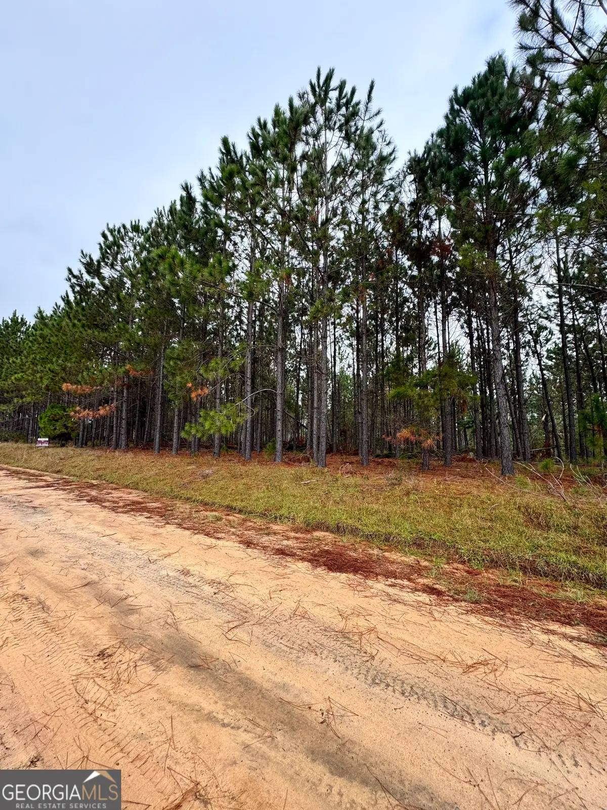 664 Mount Carmel Church Road, Alamo, GA 30411 - #1