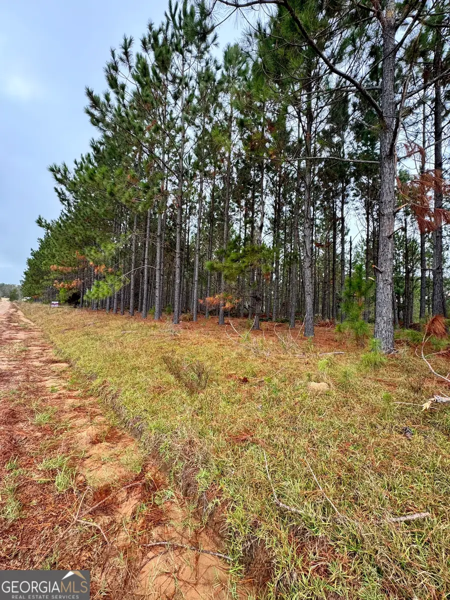 664 Mount Carmel Church Road, Alamo, GA 30411 - #2