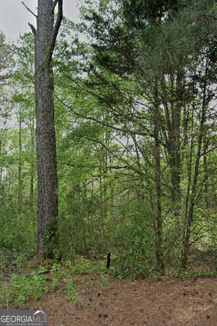 3023 Valley View Drive Sw, Powder Springs, GA 30127 - #2