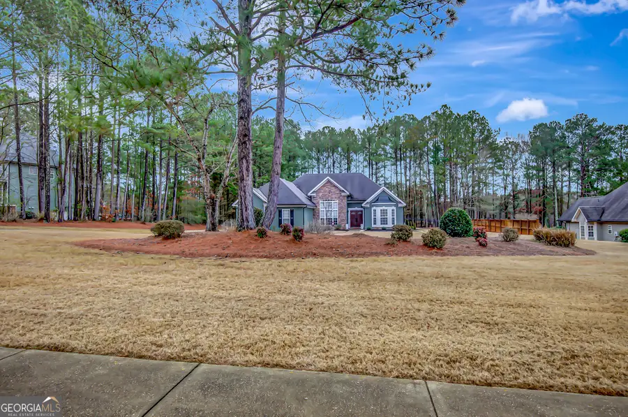 180 Bontura Drive, Senoia, GA 30276 - #3