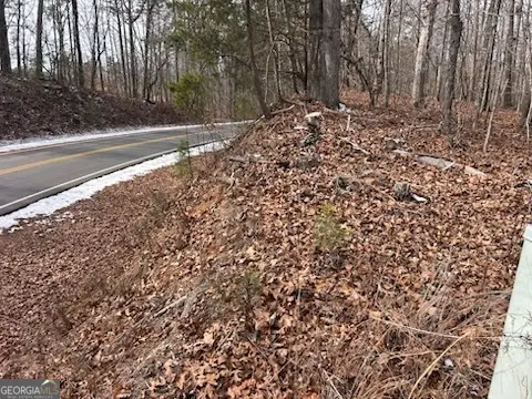 0 Holly Springs Road #TRACT 2, Toccoa, GA 30577 - #1