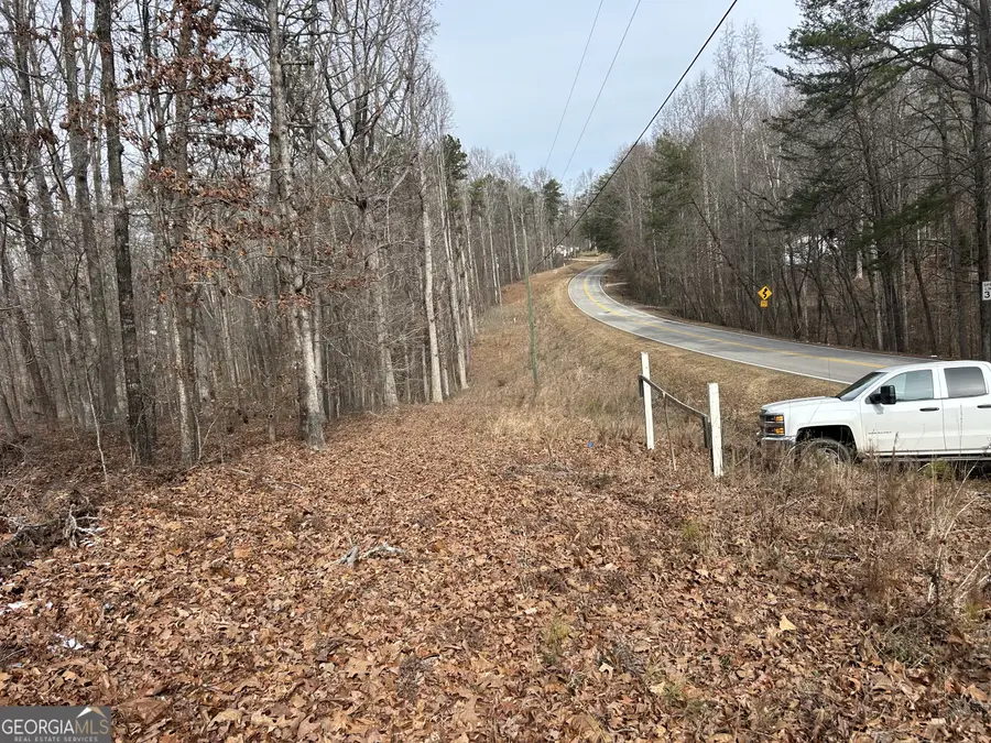 0 Holly Springs Road #TRACT 2, Toccoa, GA 30577 - #3