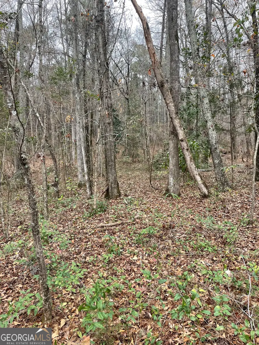 0 Hebron Church Road #1, Thomaston, GA 30286 - #2