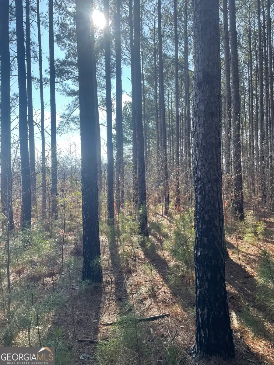 0 Hebron Church Road #1, Thomaston, GA 30286 - #3