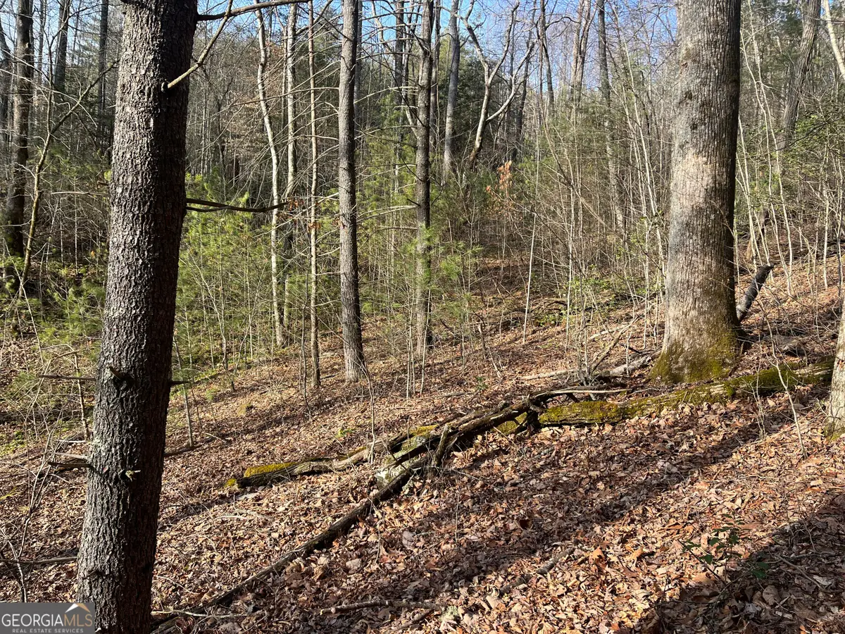 0 Winter Ct, Dillard, GA 30537 - #1