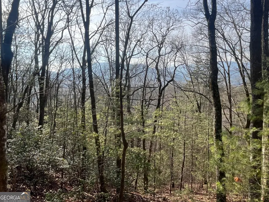 0 Winter Ct, Dillard, GA 30537 - #3