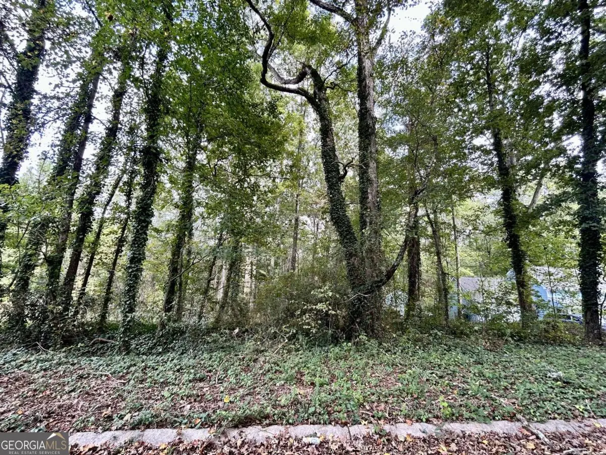 3291 Chesterfield Court, Snellville, GA 30039 - #1