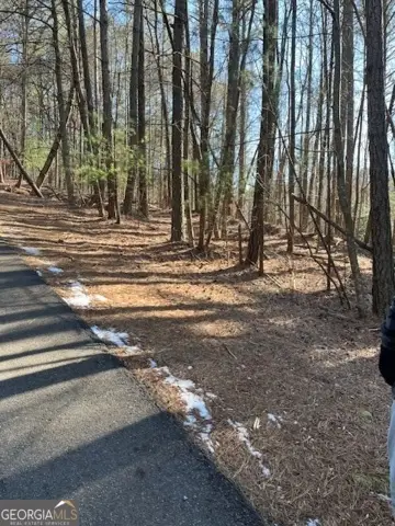 LOT 36R Lakeview Lane, Ellijay, GA 30536 - Image #2