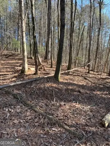 LOT 36R Lakeview Lane, Ellijay, GA 30536 - Image #3