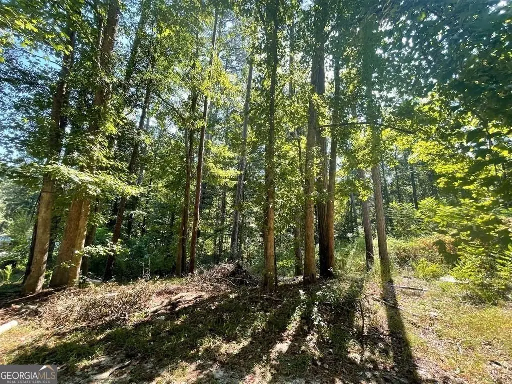 6031 Falcon Court #8, Austell, GA 30106 - Image #1