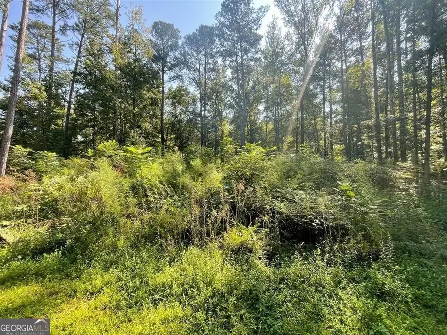 6031 Falcon Court #8, Austell, GA 30106 - Image #3