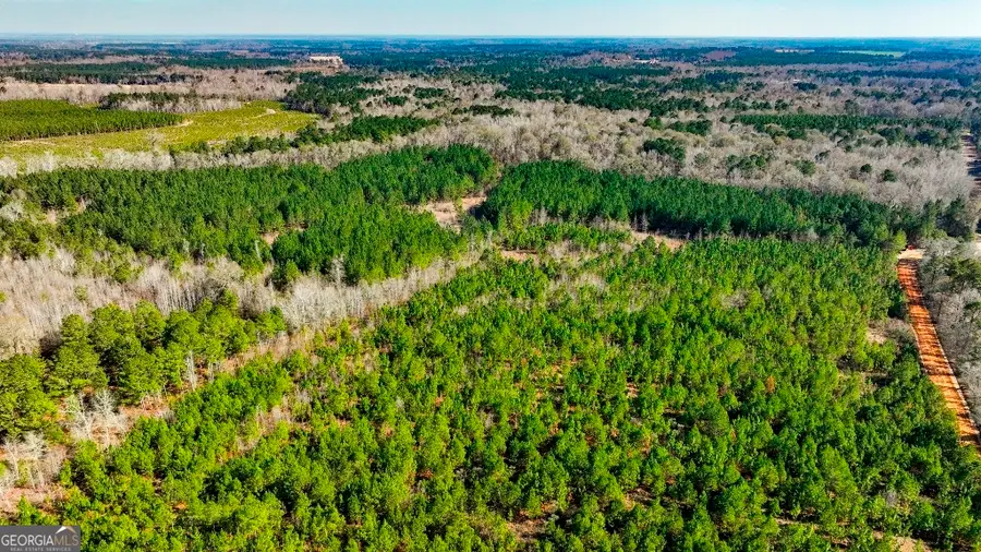 0 Crooked Road, Millen, GA 30442 - #2