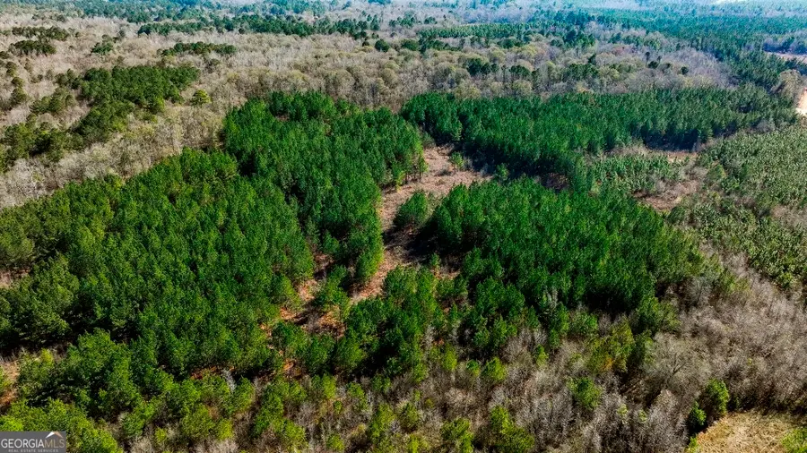 0 Crooked Road, Millen, GA 30442 - #3