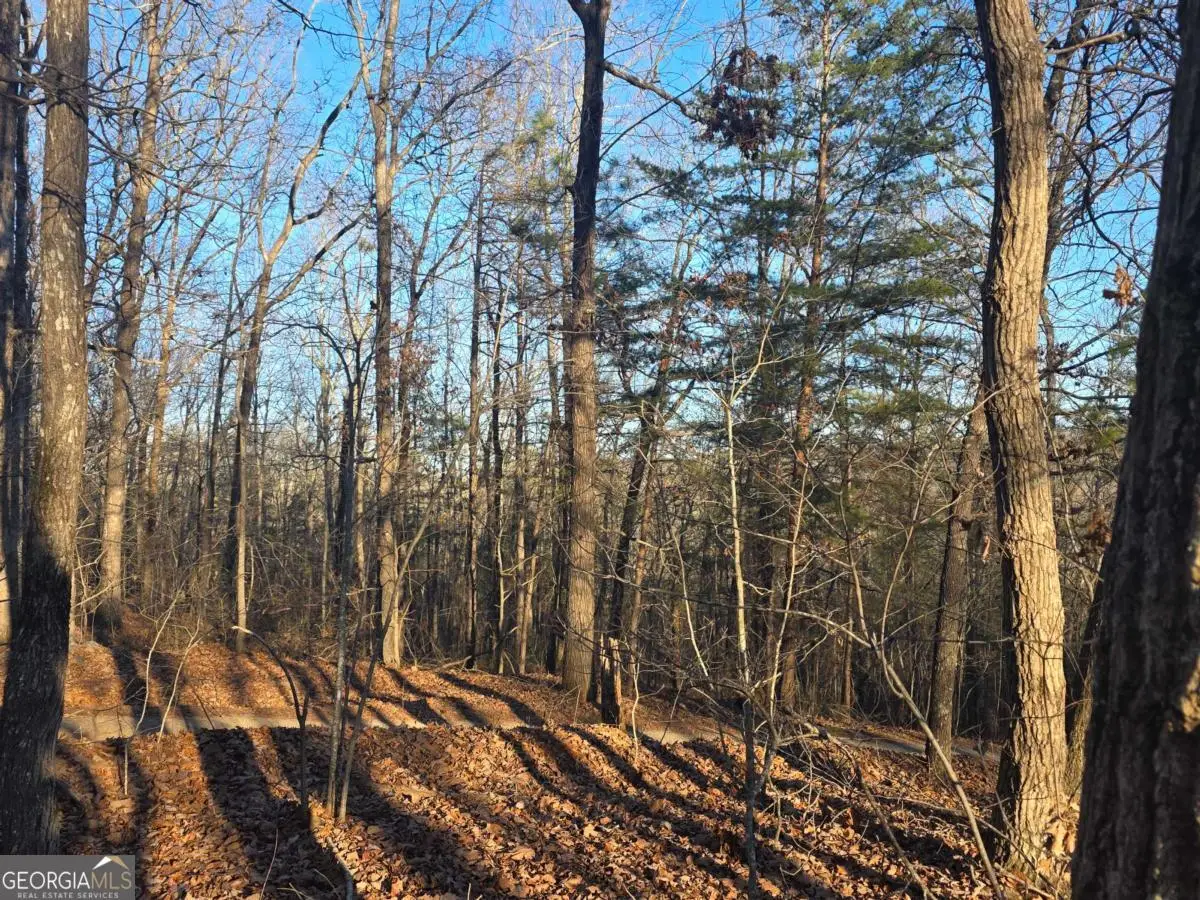 0 Carters Lake Overlook, Ellijay, GA 30540 - #1