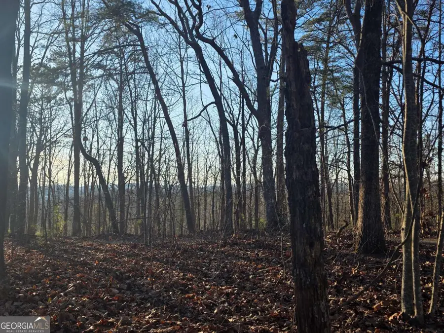 0 Carters Lake Overlook, Ellijay, GA 30540 - #2