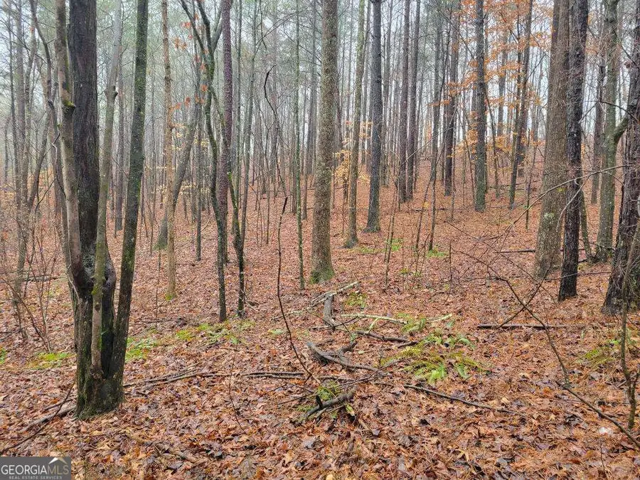 0 Carters Lake Overlook, Ellijay, GA 30540 - #3