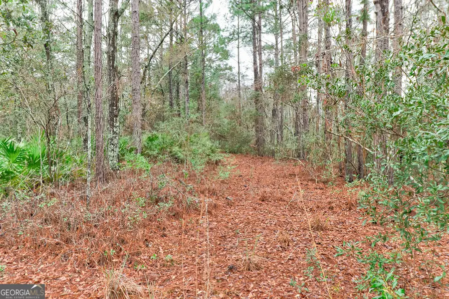 109 Unique Drive, Guyton, GA 31312 - Image #3