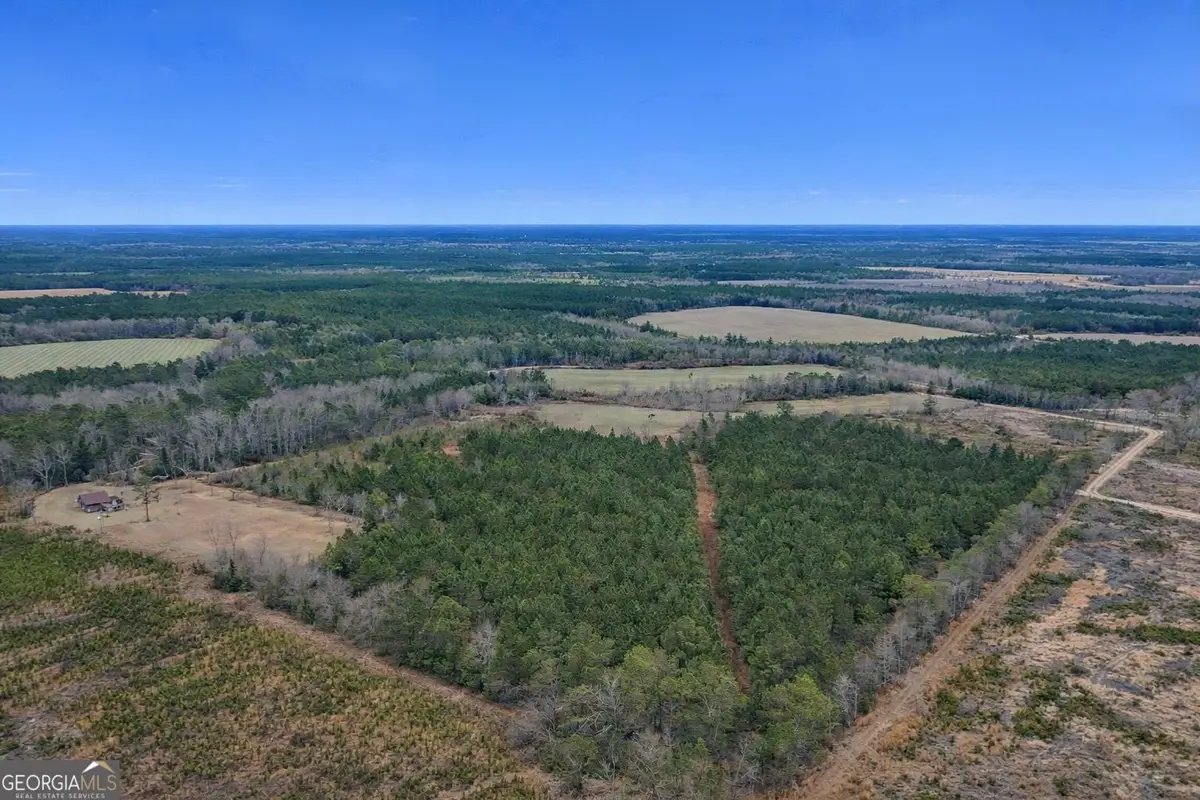 TRACT 4 Reddish Road, Odum, GA 31555 - #1