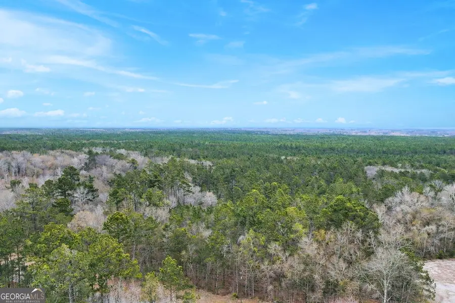TRACT 2 Tank Road, Odum, GA 31555 - #3