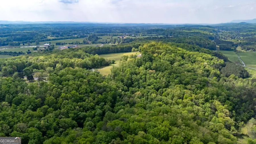 0 Bicentennial Trail, Rock Spring, GA 30739 - #2